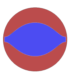 Image of cross-section of the screw and extrudate