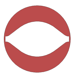 Image of cross-section of the extrudate